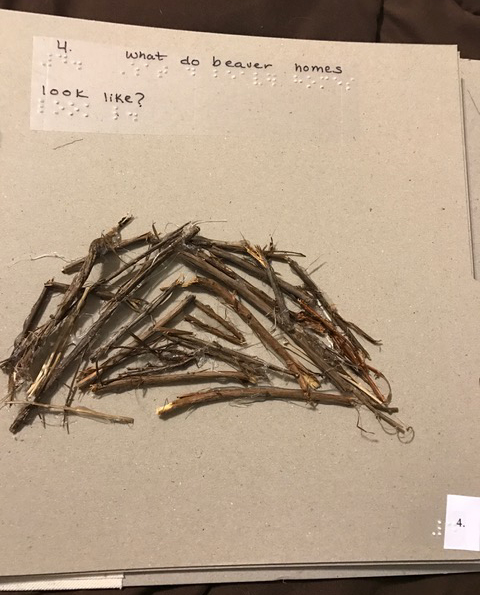 a bunch of twigs arranged in the shape of a beaver dam with a braille and print text above it