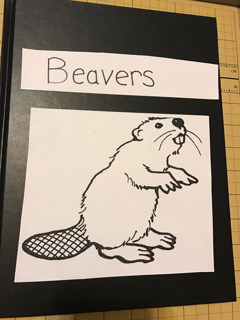 cover a book with a picture of a beaver and the title Beavers