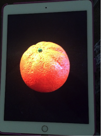 Image on orange on an iPad