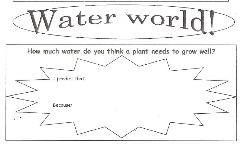Worksheet of Water world