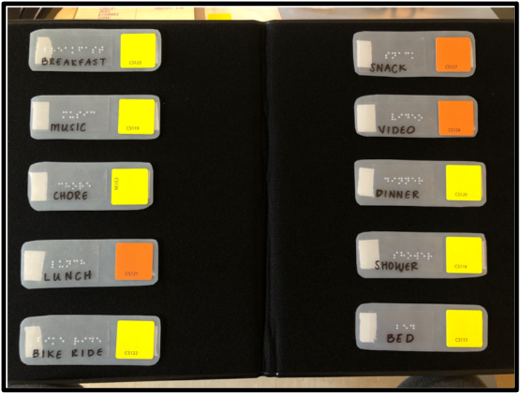 Schedule using PenFriend with print and braille