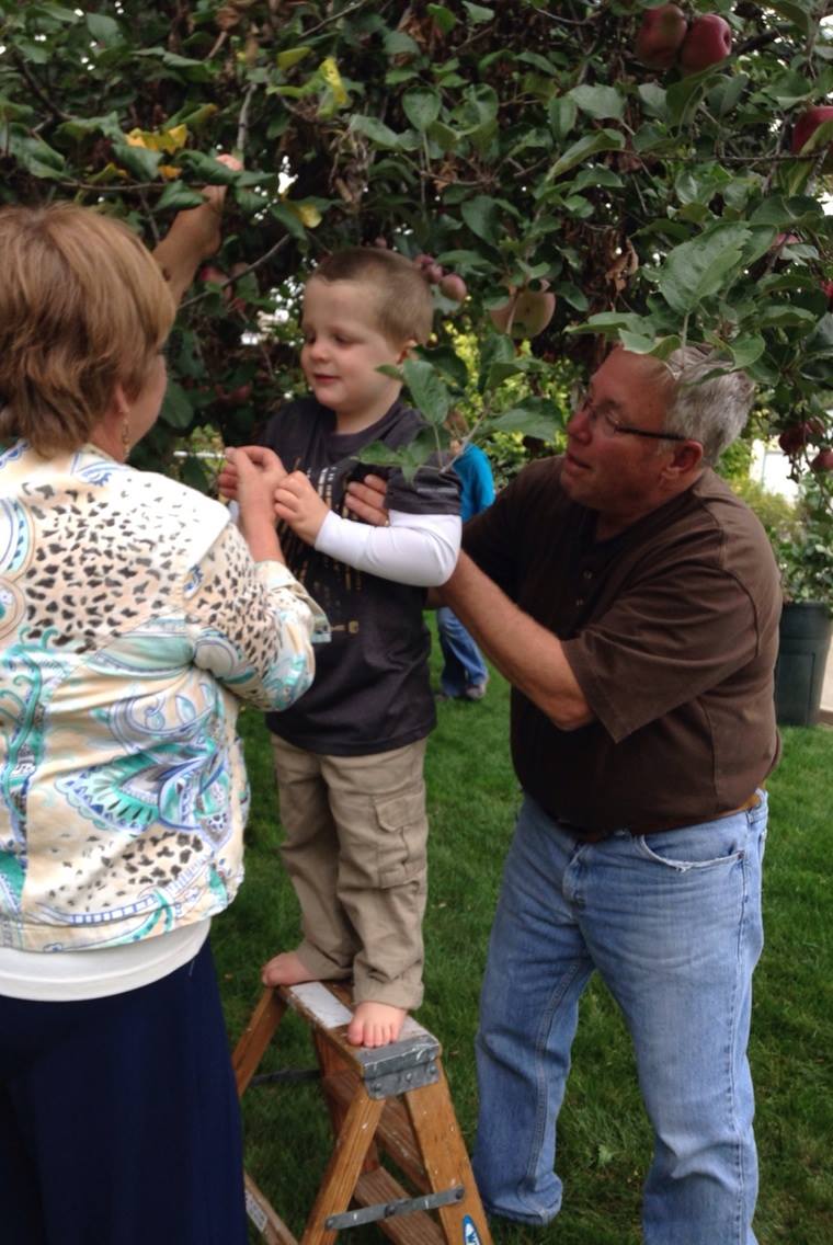 picking apples