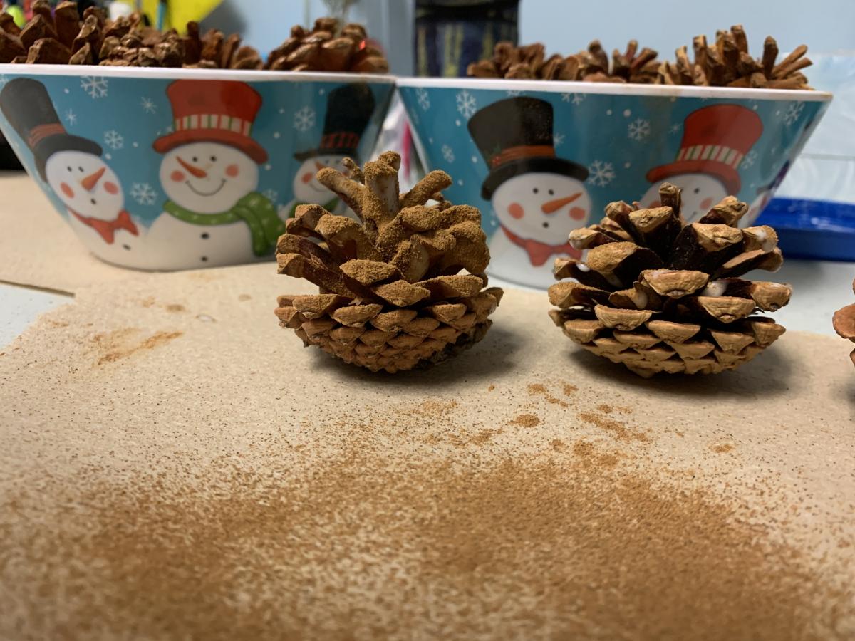 Finished cinnamon-scented pinecones