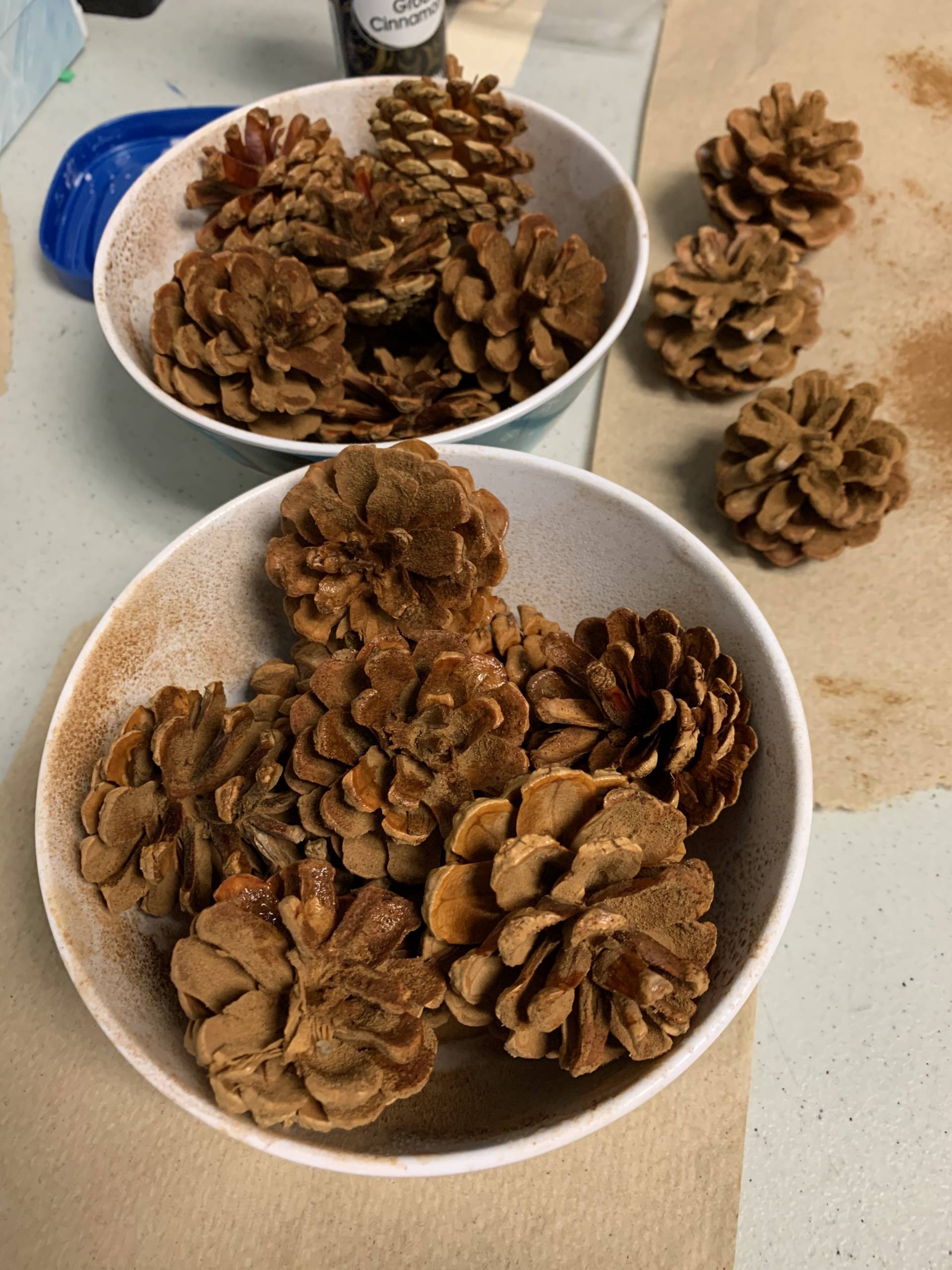 DIY Cinnamon-Scented Pine Cones