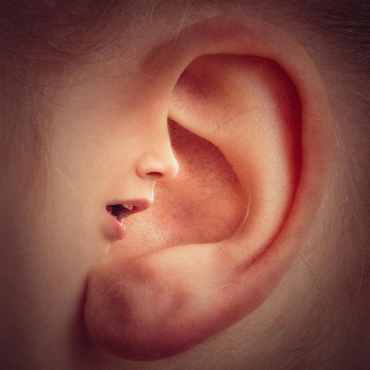 Ear with superimposed face on it.
