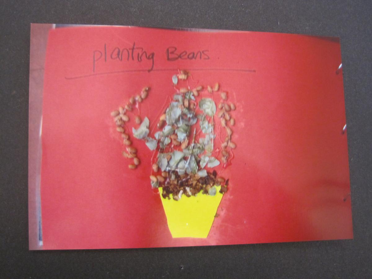 Tactile journal page about planting beans