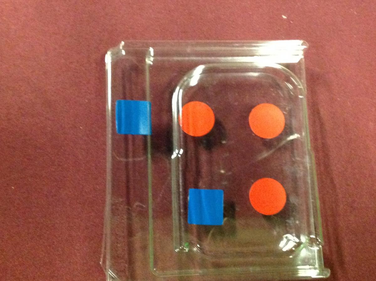 Plastic tray with shapes Plastic tray with shapes