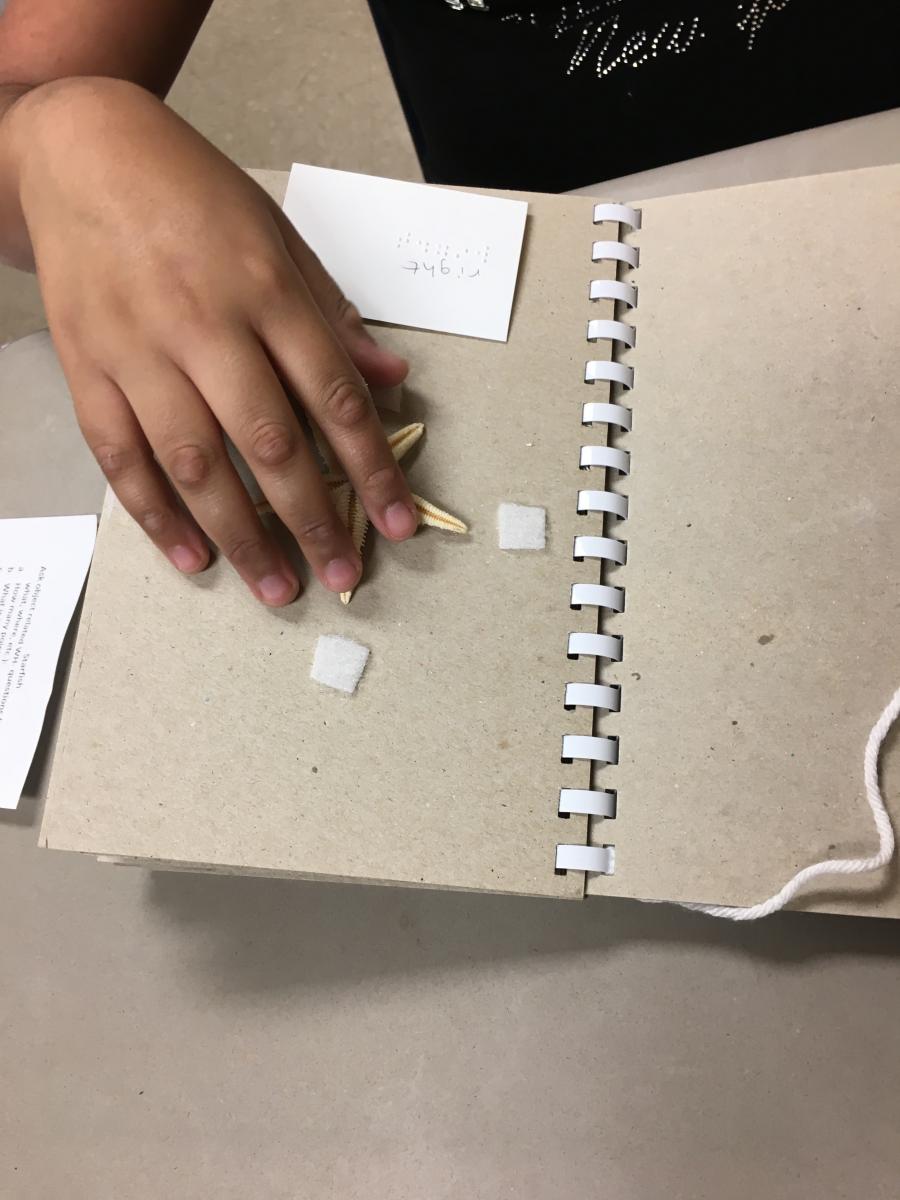 Student examines starfish on page of book Student examines starfish on page of book