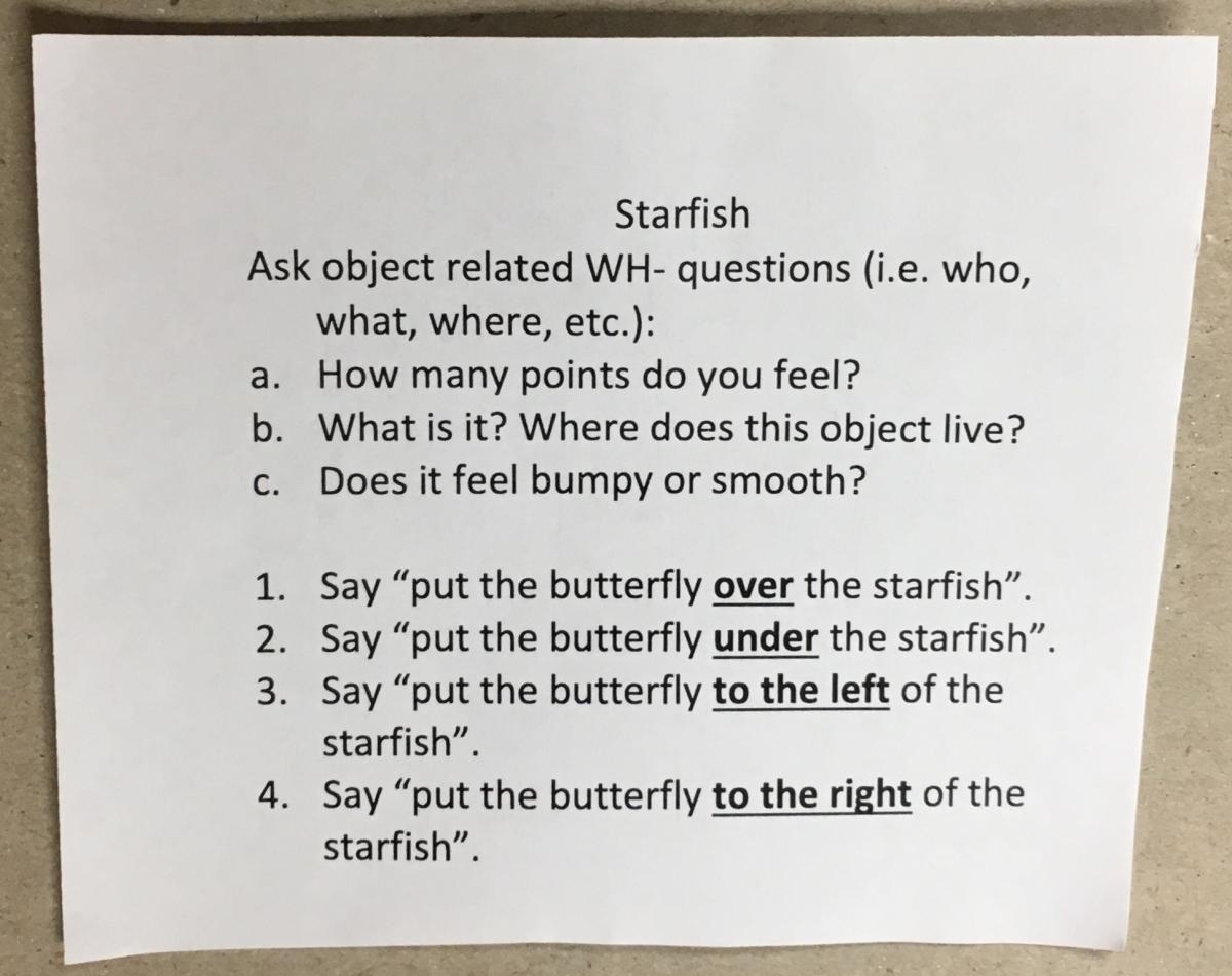Script for Starfish
