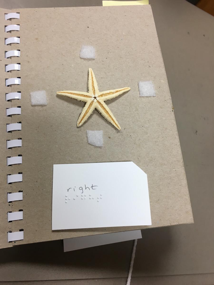 Starfish with Starfish with