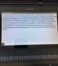 Final text of the story screen with text