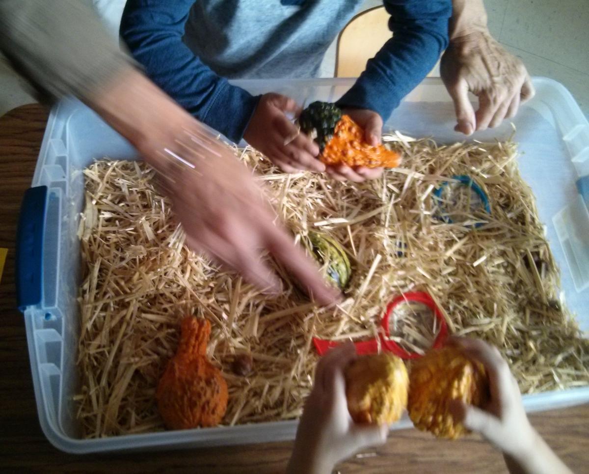 Exploring pumpkin box