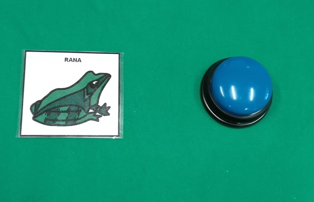 Flannel board with picture of a frog and switch Picture symbol of frog with switch