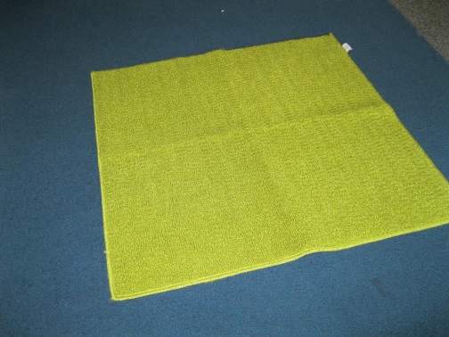 area rug