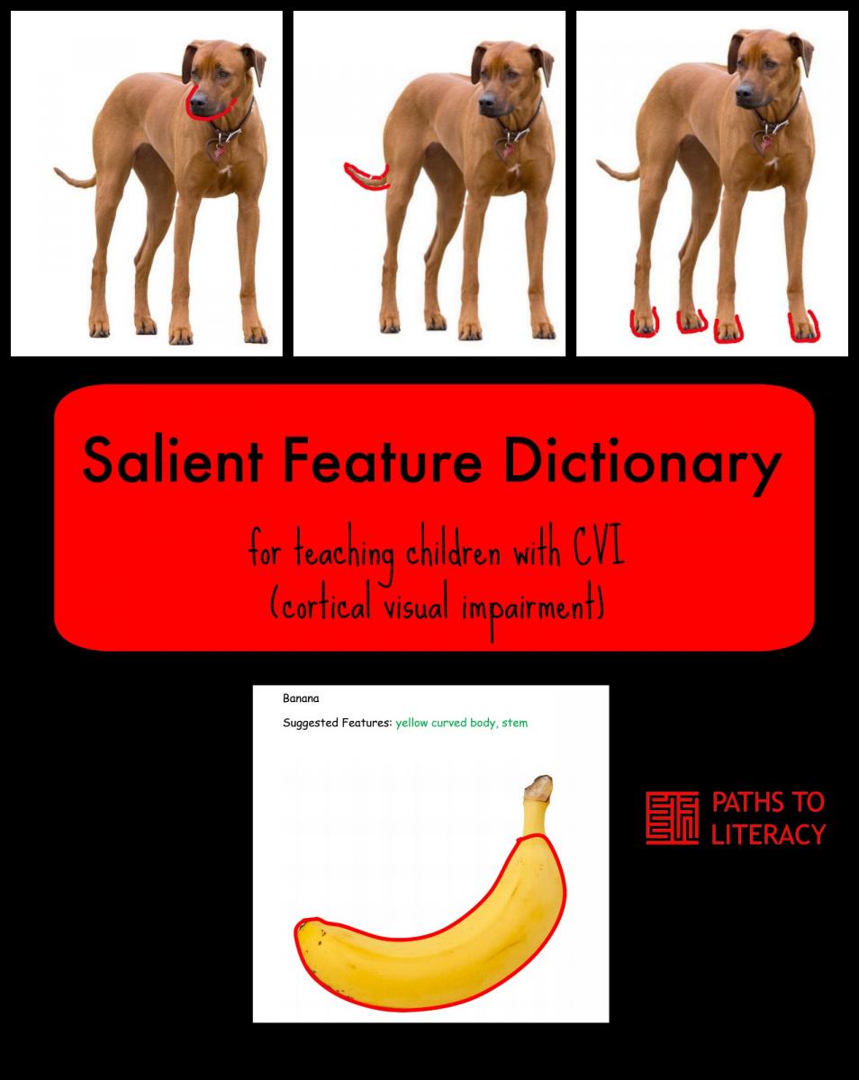 Collage of salient feature dictionary