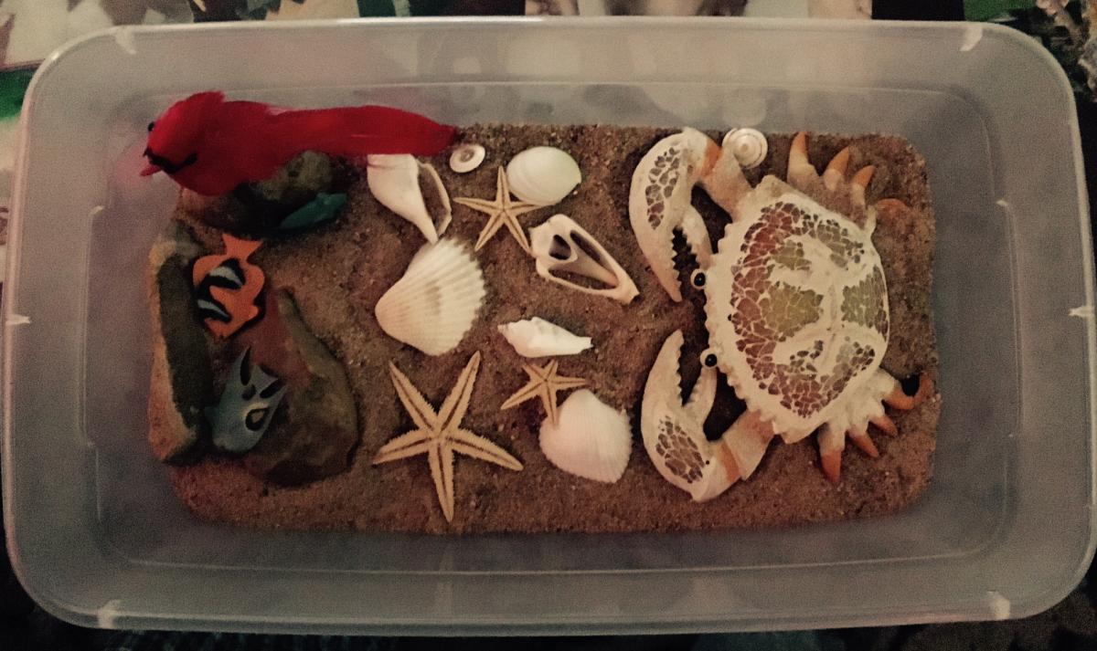 Container of beach items