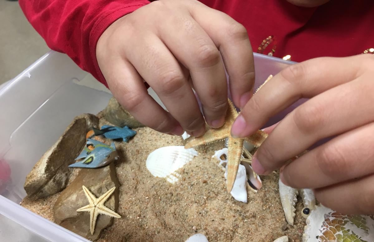 Close-up view of sand tray