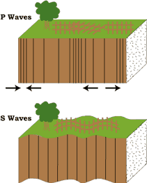 seismic waves example