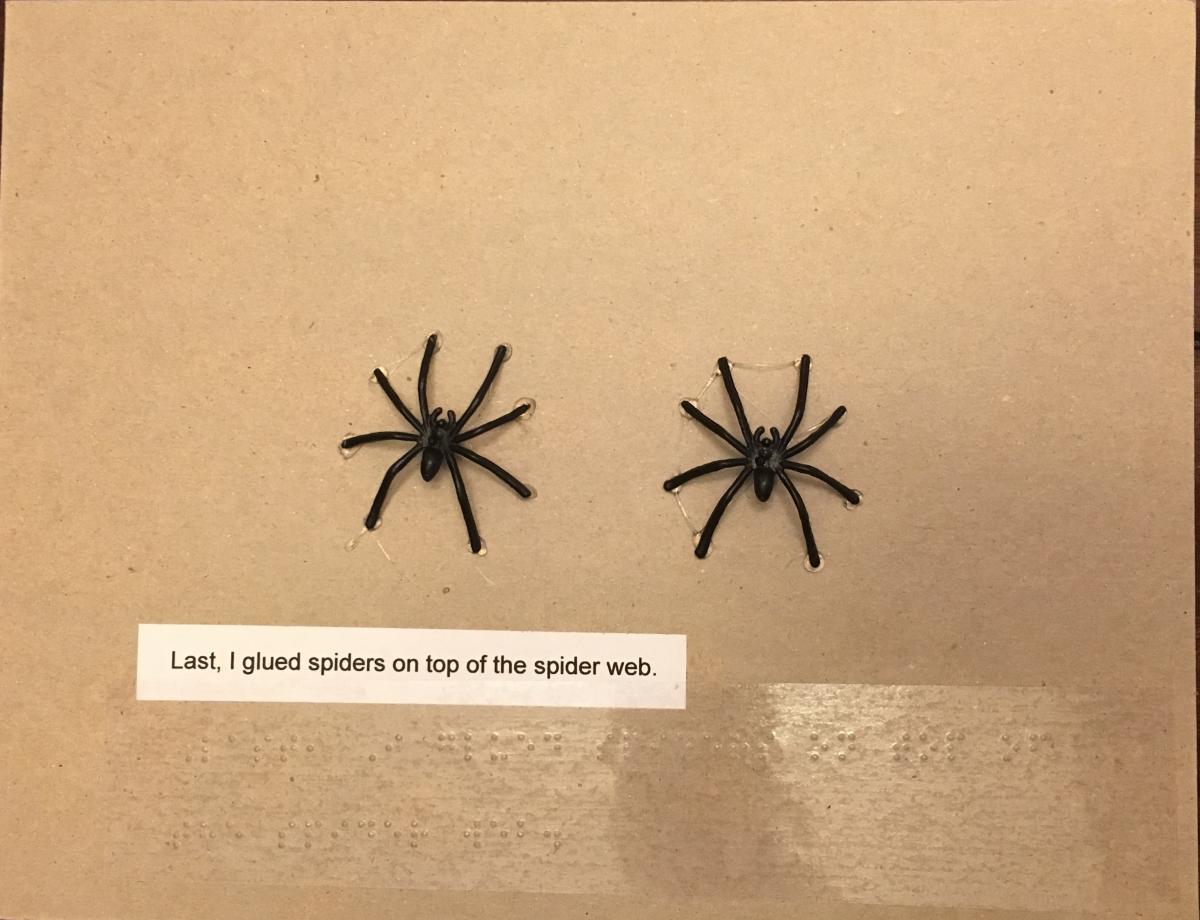 Page 4: Last, I glued spiders on top of the spider web.