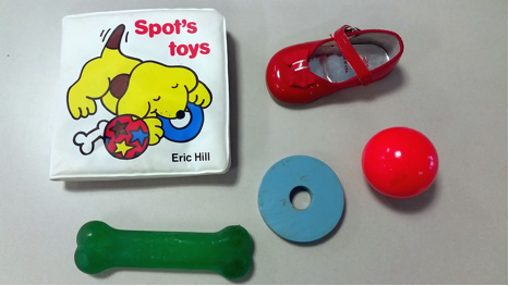 Spot's Toys with real objects