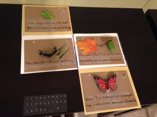 tactile story book example of a caterpillar turning into a butterfly