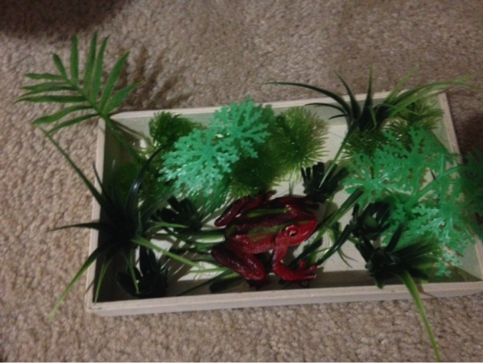 plant box