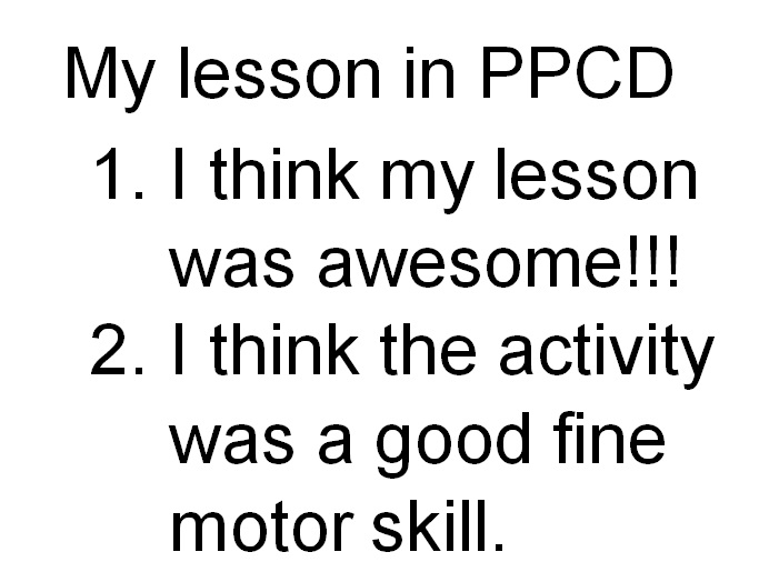 a student's evaluation of their lesson plan