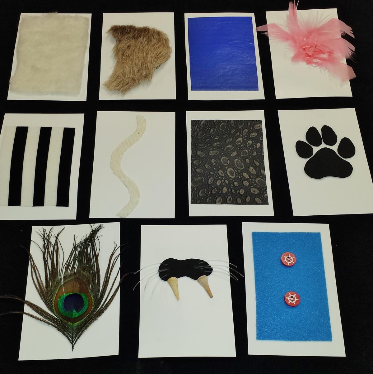 Tactile cards of animals
