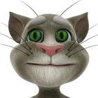 talking tom cat app