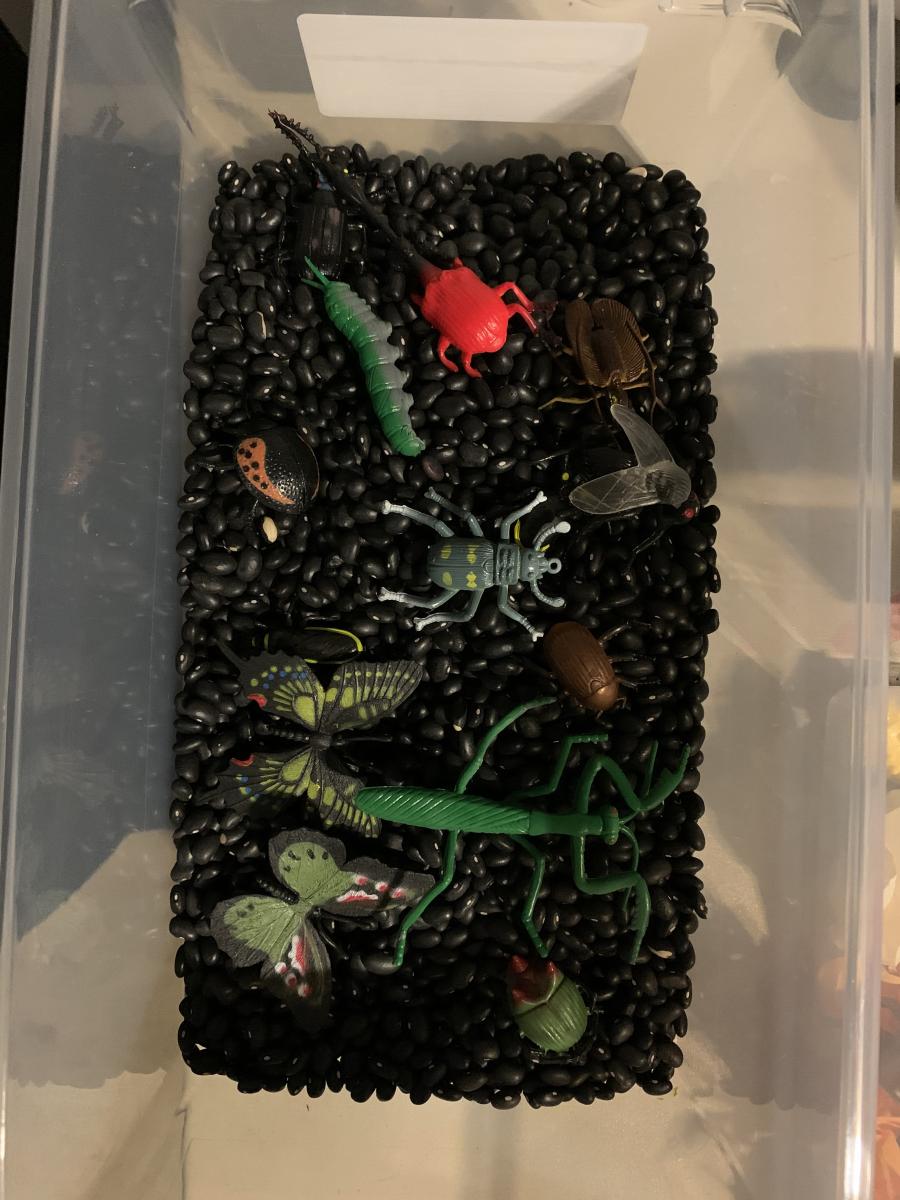 Plastic bin with dry black beans and plastic insects Plastic bin with dry black beans and plastic insects