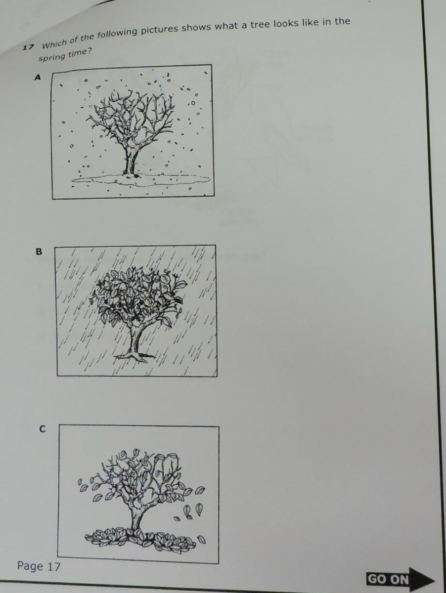 Test item of the tree