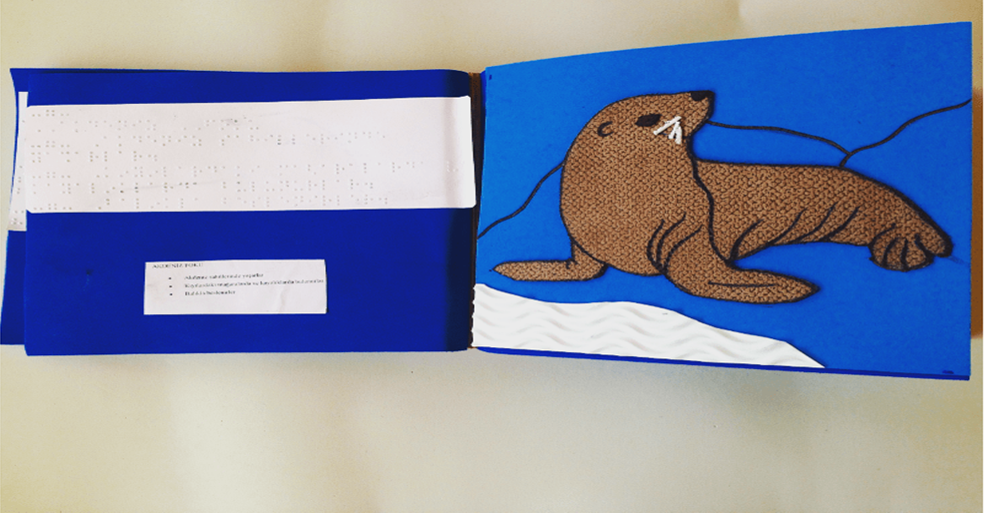 seal on an environment made out of differently textured materials, a page with braille description is facing it