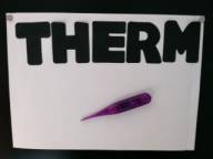 Adaptation for students who are blind or visually impaired thermometer