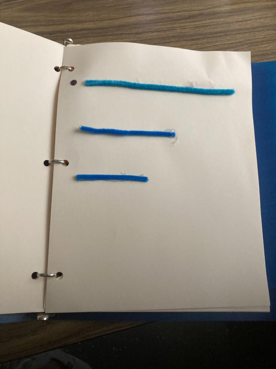 Three lines of pipe cleaners