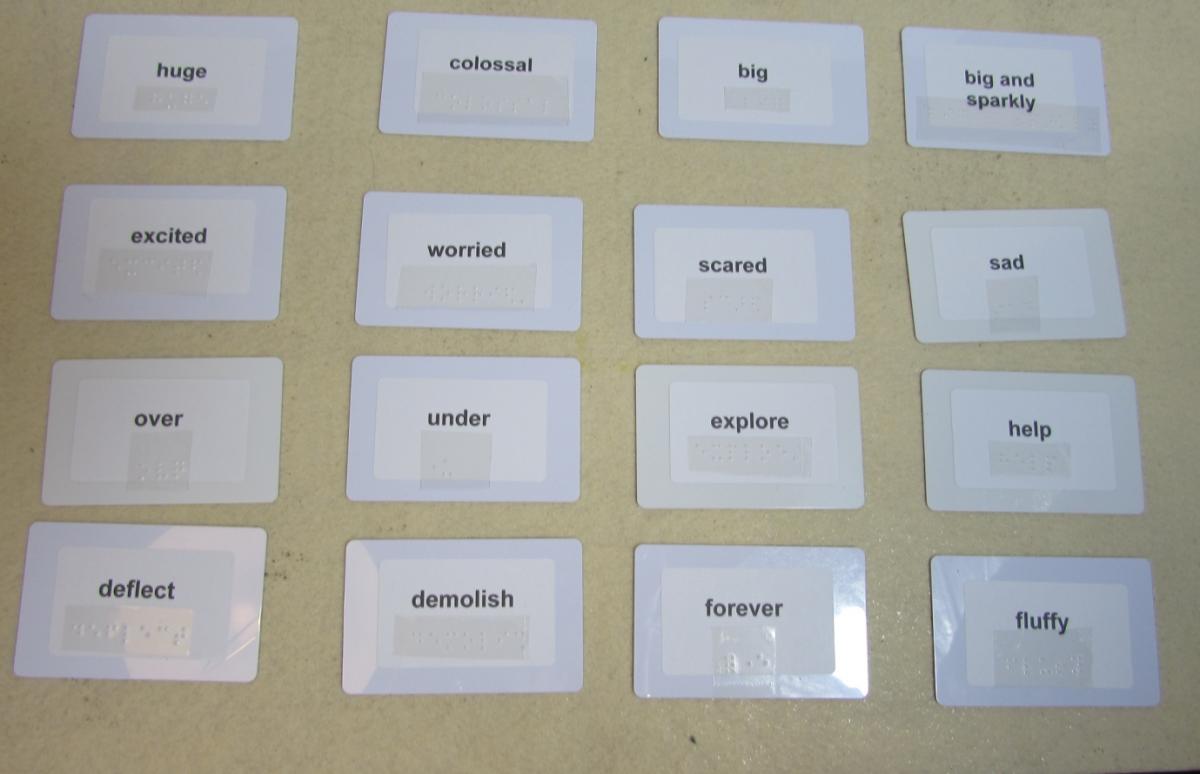 vocabulary words on index cards with print and braille text