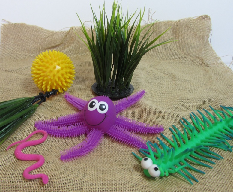 toys representing underwater sea creatures