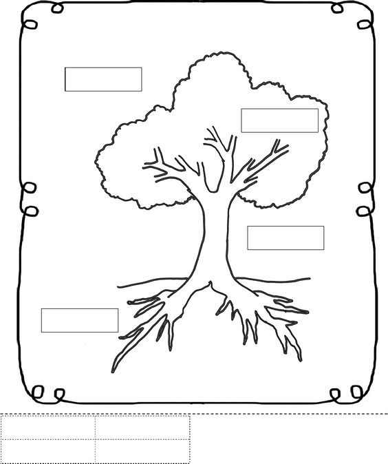 Tree worksheet