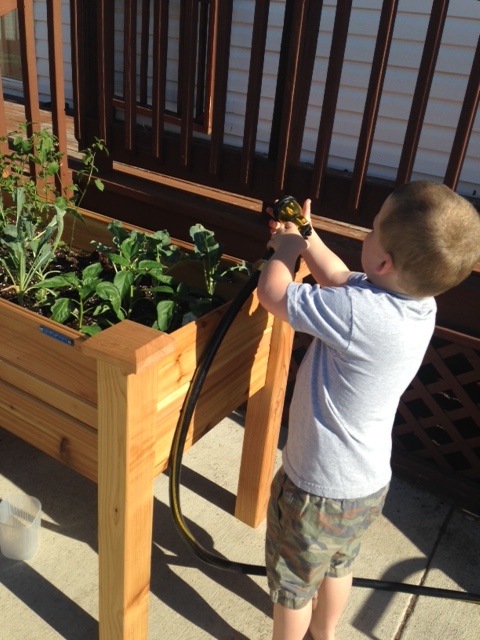 Boy watering plants with hose