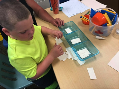 Sorting activity Sorting activity