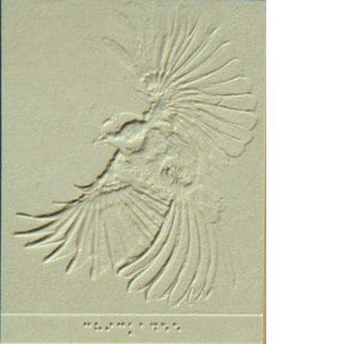 Tactile graphic of chickadee