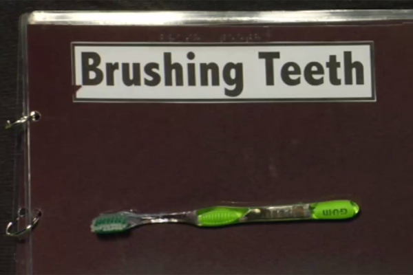 Cover of Brushing Teeth book