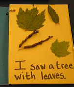 Tactile book with leaves and sticks.