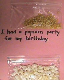 Page of experience book showing unpopped popcorn kernels and popped kernels in plastic baggies with the text 