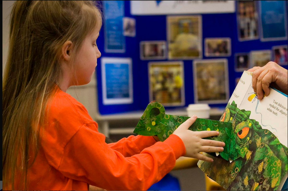 A girl examines a pop-up alligator book.