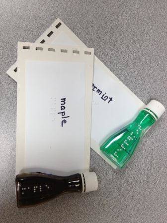 These bottles of extract can be matched with the braille card for an activity that is both fun and meaningful. Bottles of extract with matching braille cards