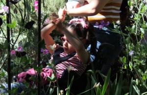 Young girl in a wheel chair strolling through a garden in bloom exploring with her hands.