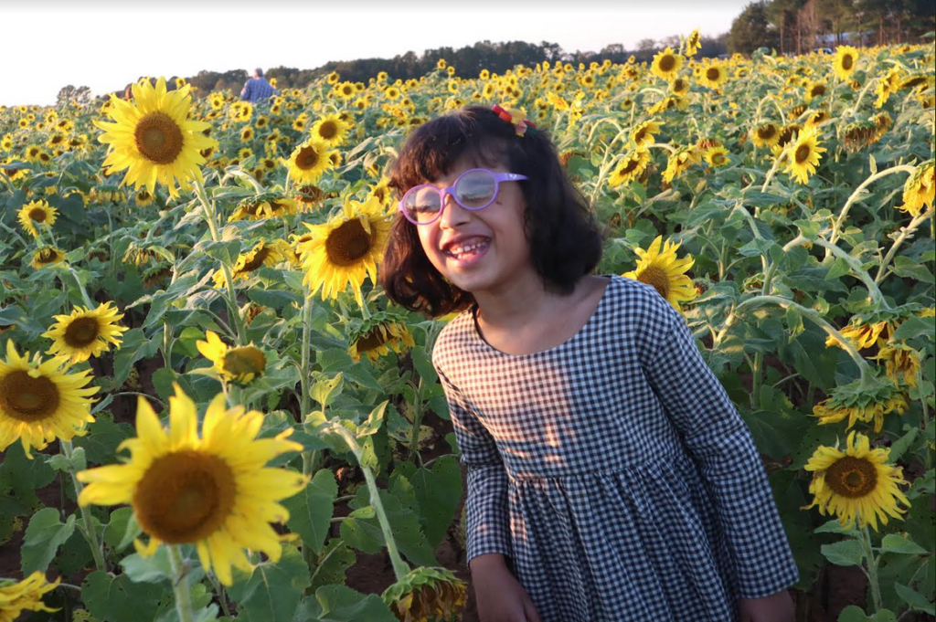 Ankitha in a field of sunflowers