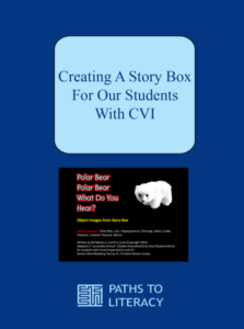Creating a story box for our students with CVI title with a cover picture of the story box "Polar bear, polar bear what do you see?". There is a picture of a stuffed animal polar bear with it. 