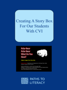 Creating a story box for our students with CVI title with a cover picture of the story box "Polar bear, polar bear what do you see?". There is a picture of a stuffed animal polar bear with it.