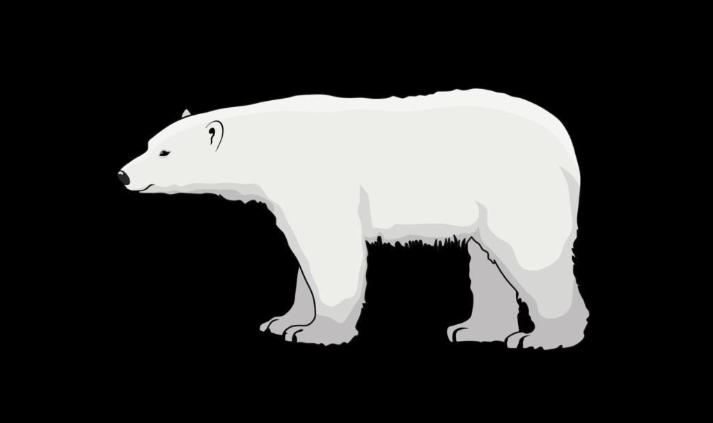 Illustrated polar bear